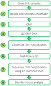ChIP-Seq Workflow