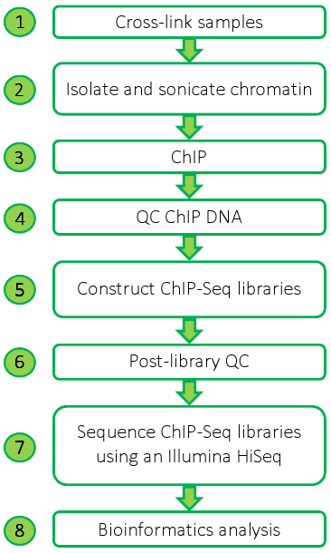 ChIP-Seq Workflow