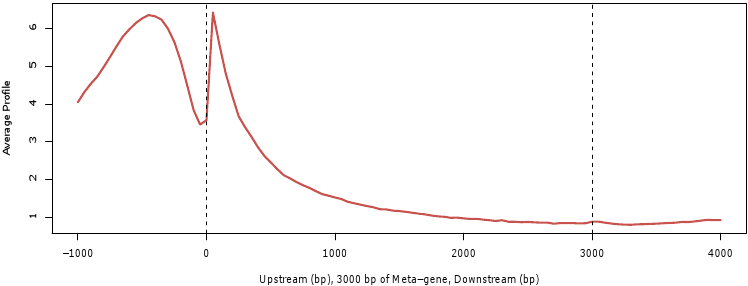 Average ChIP-Seq Gene Profile