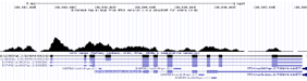 ChIP-Seq Browser Tracks with Peak Calling