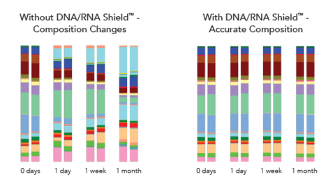 Microbial composition comparison with and without DNA/RNA Shield