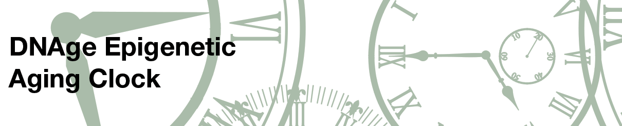 dnage epigenetic aging clock