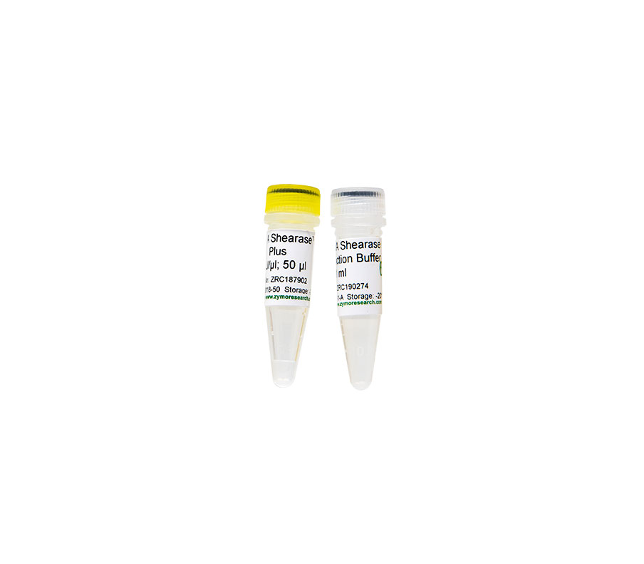 Enzymes & Protein Expression Enzymes & Protein Expression
