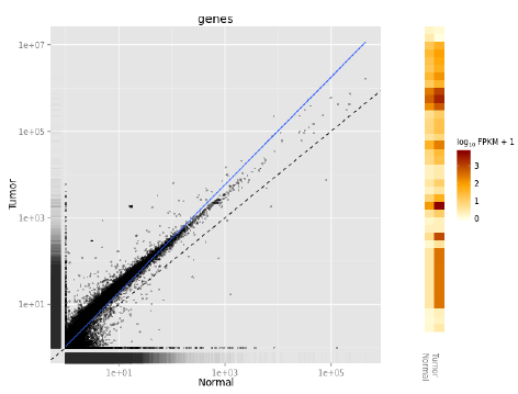 rna sequence plot