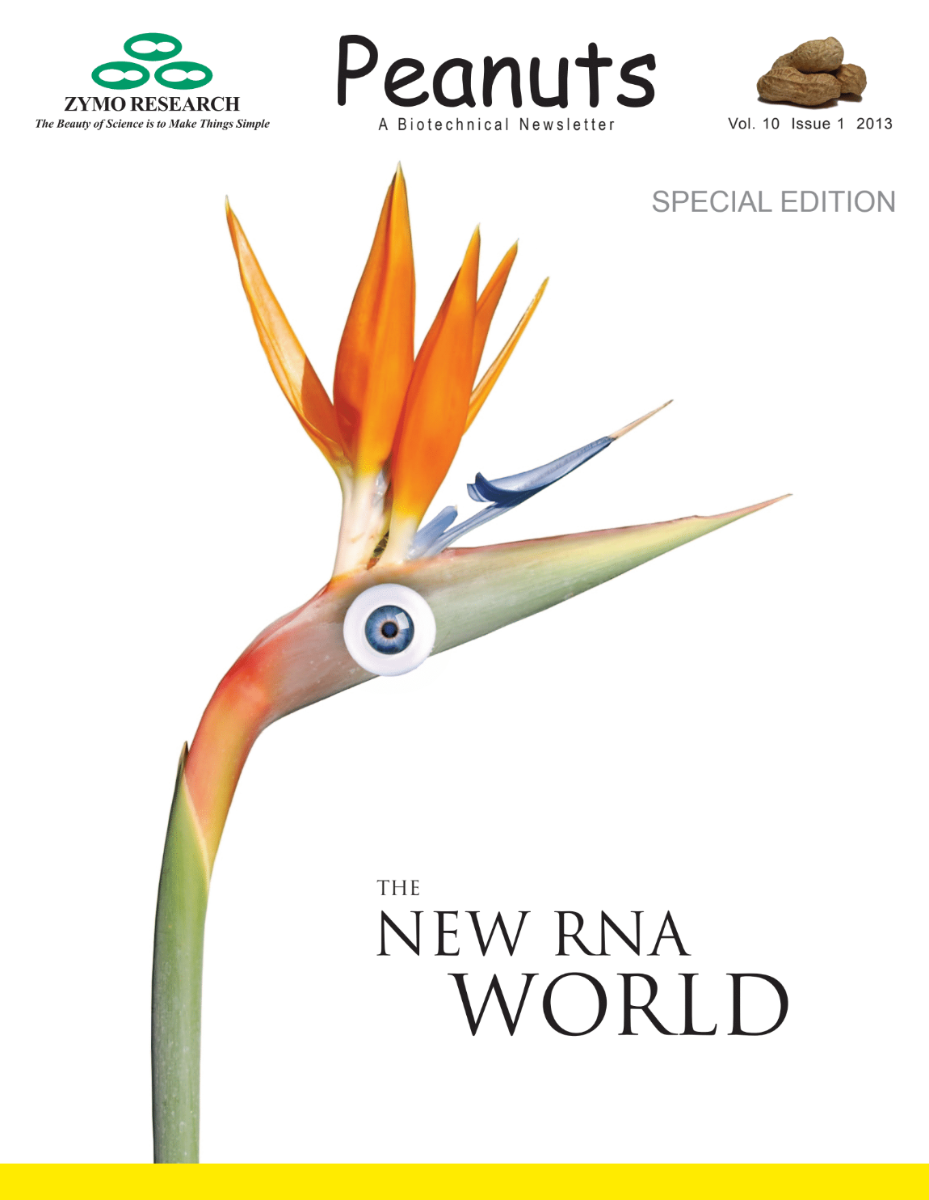 Peanuts The new RNA world Cover
