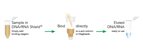 DNA/RNA shield workflow