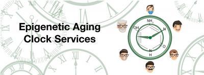 Epigenetic Aging clock services banner