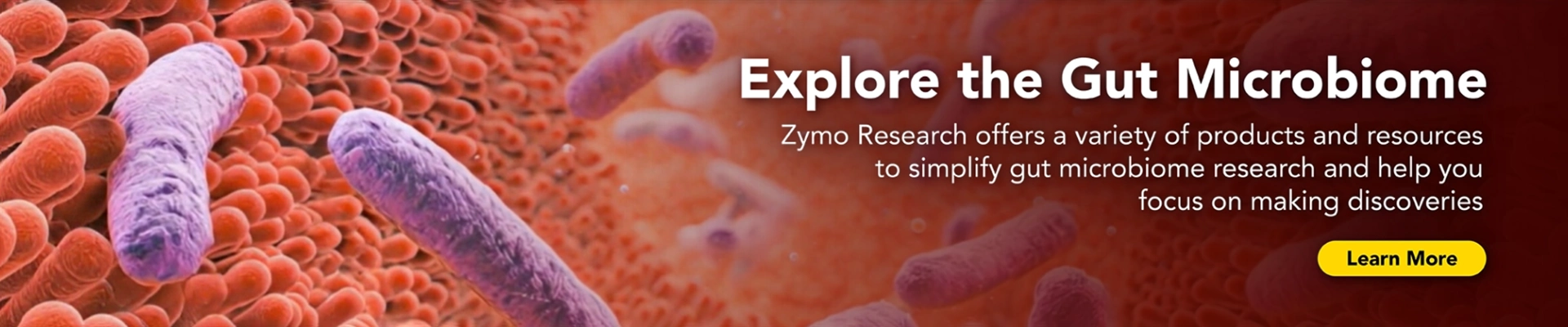 Banner for Zymo Research's Gut Microbiome Learning Center