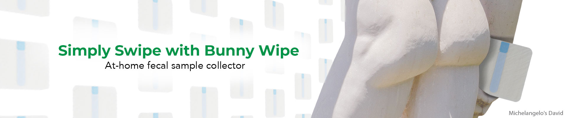 Bunny Wipe banner image - A picture of Michelangelo's David with Bunny Wipe Stool Collector
