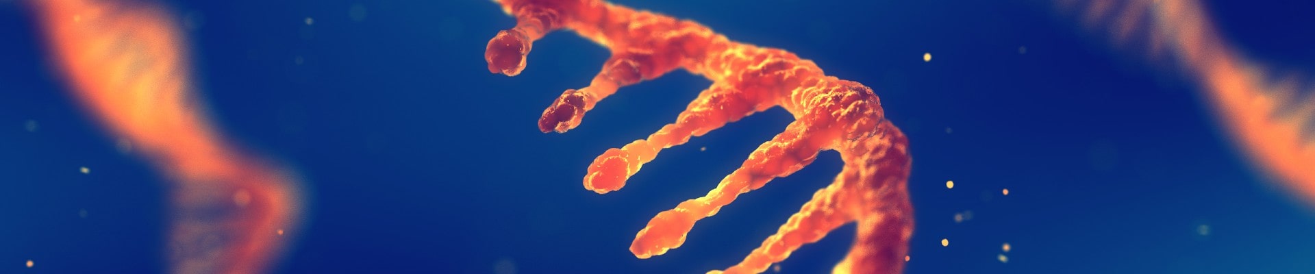An image of RNA