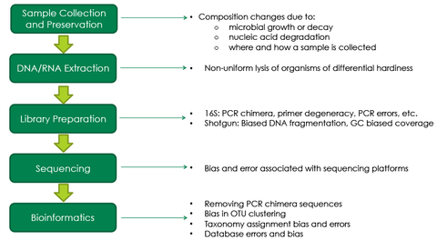 因素导致microbiomics工作流的偏见