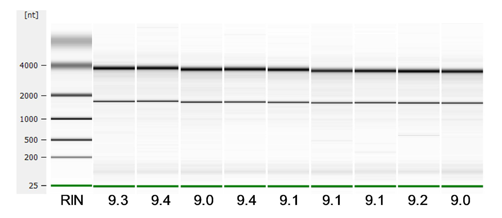 epub trend forecasting with