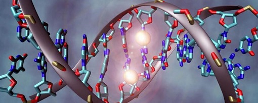 bisulfite dna image