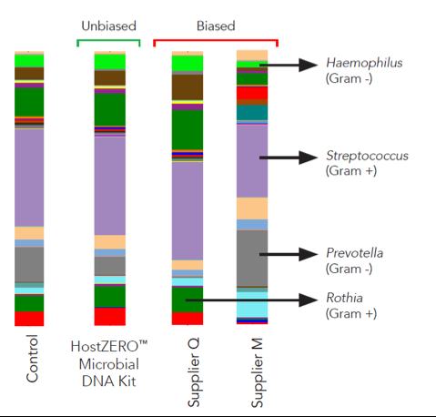 Microbial genus composition is maintained 