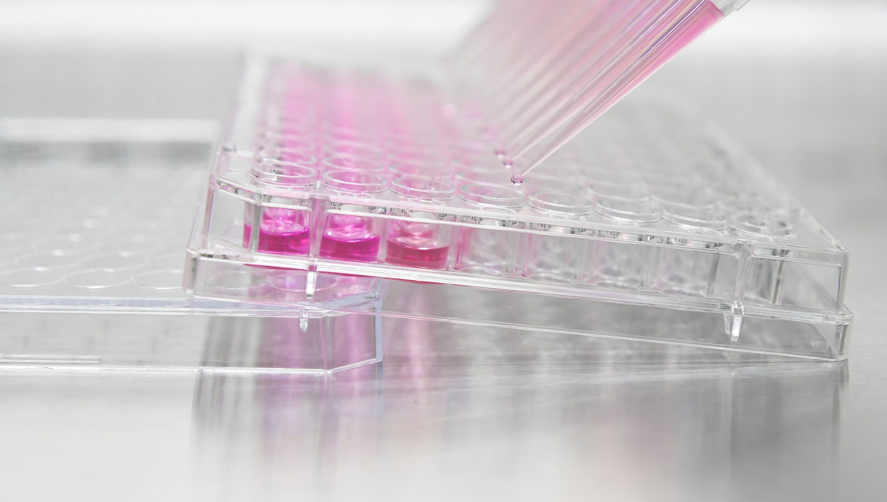 Pipetting to a 96-well plate