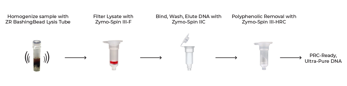Quick-DNA Workflow