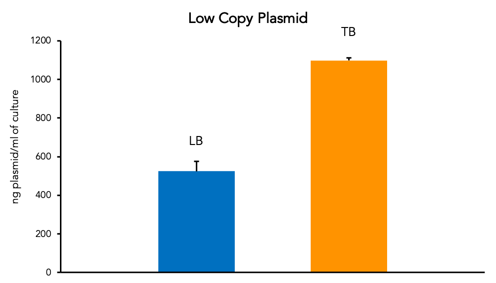 Low Copy Plasmid