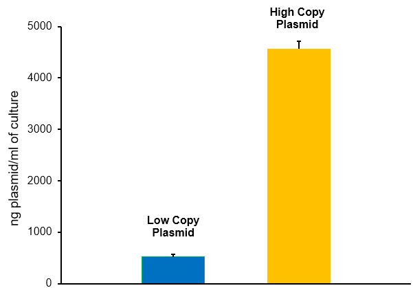 Bar Graph comparing Low-Copy and High-Copy Plasmid