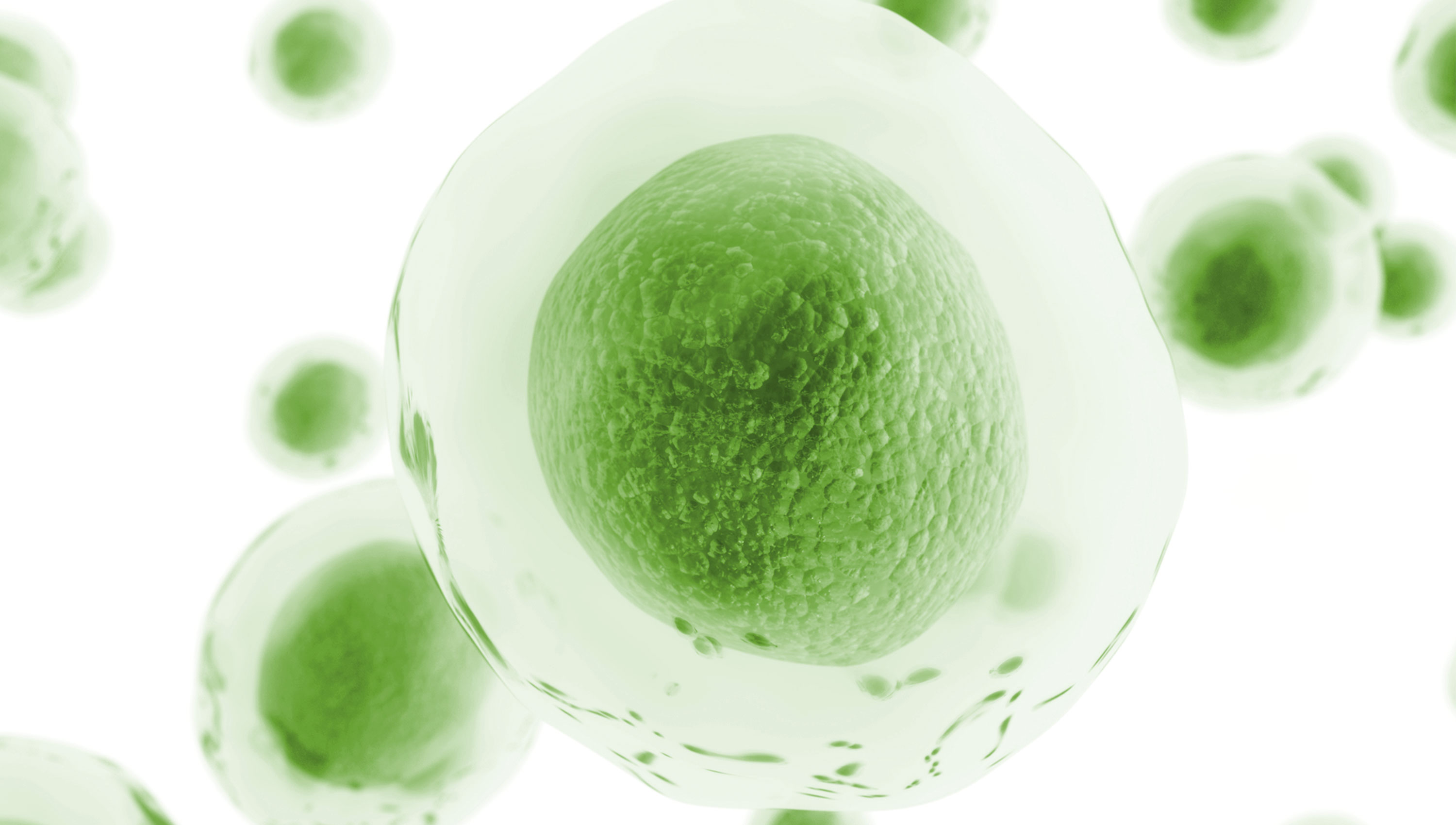 Green Single Cell
