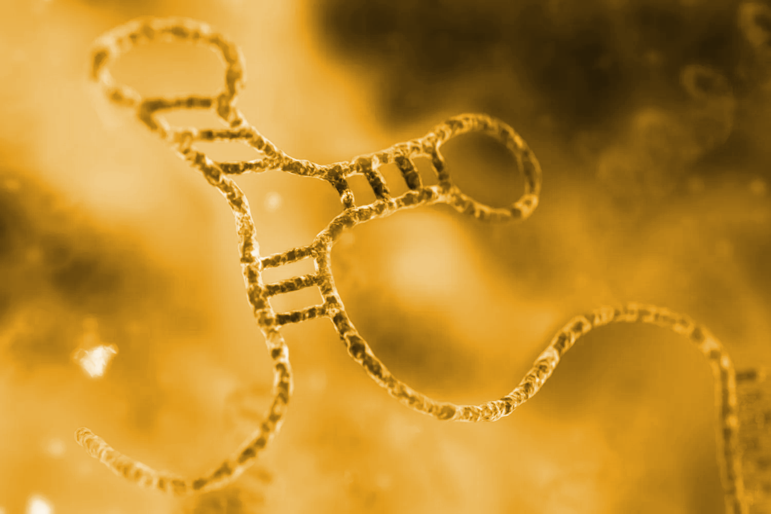 Yellow single-stranded nucleotide