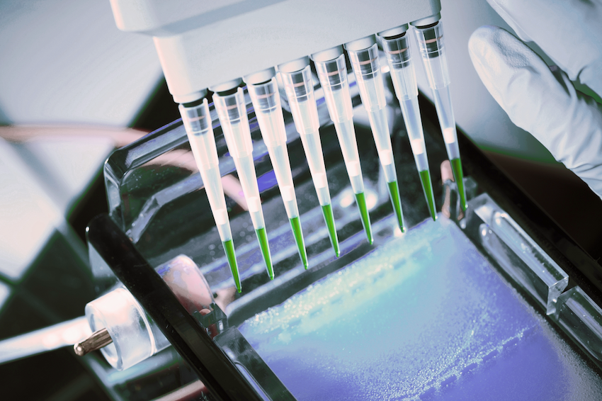DNA gel excisions