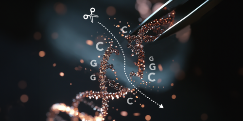 Reduced Representation Bisulfite Sequencing (RRBS) analysis is an NGS technology to study the DNA methylation pattern.