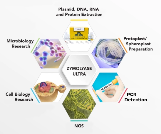 The applications Zymolyase Ultra, details below