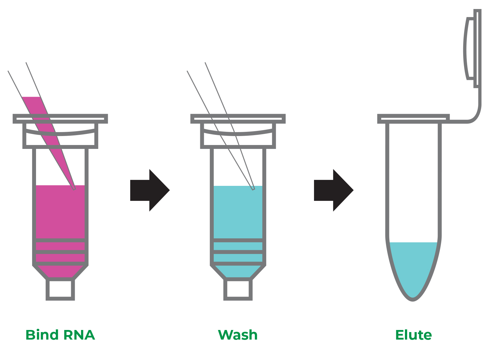 No more precision pipetting. With Direct-zol, just bind, wash, and elute the RNA.