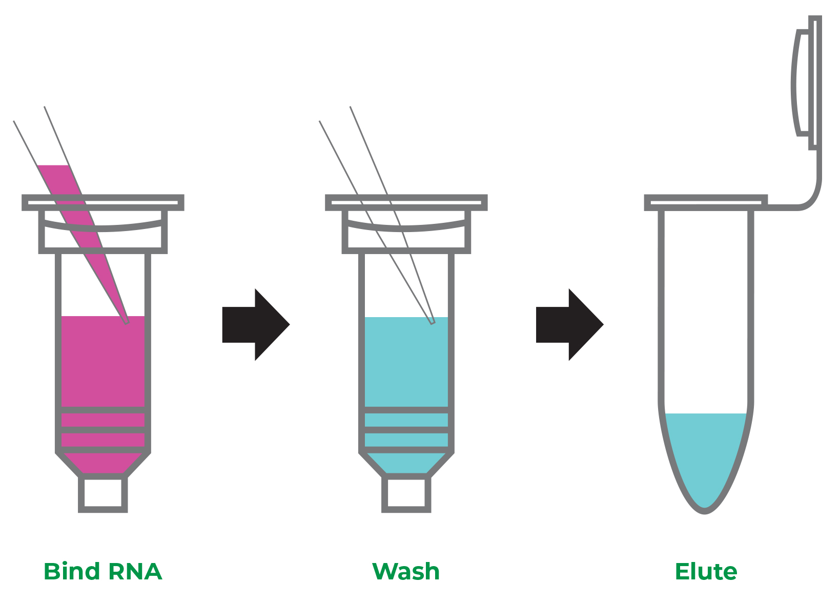 What Is TRIzol Reagent? ZYMO RESEARCH, 53% OFF