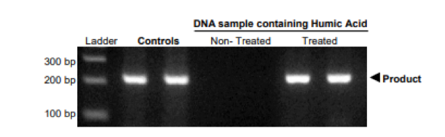 DNA sample containing Humic Acid