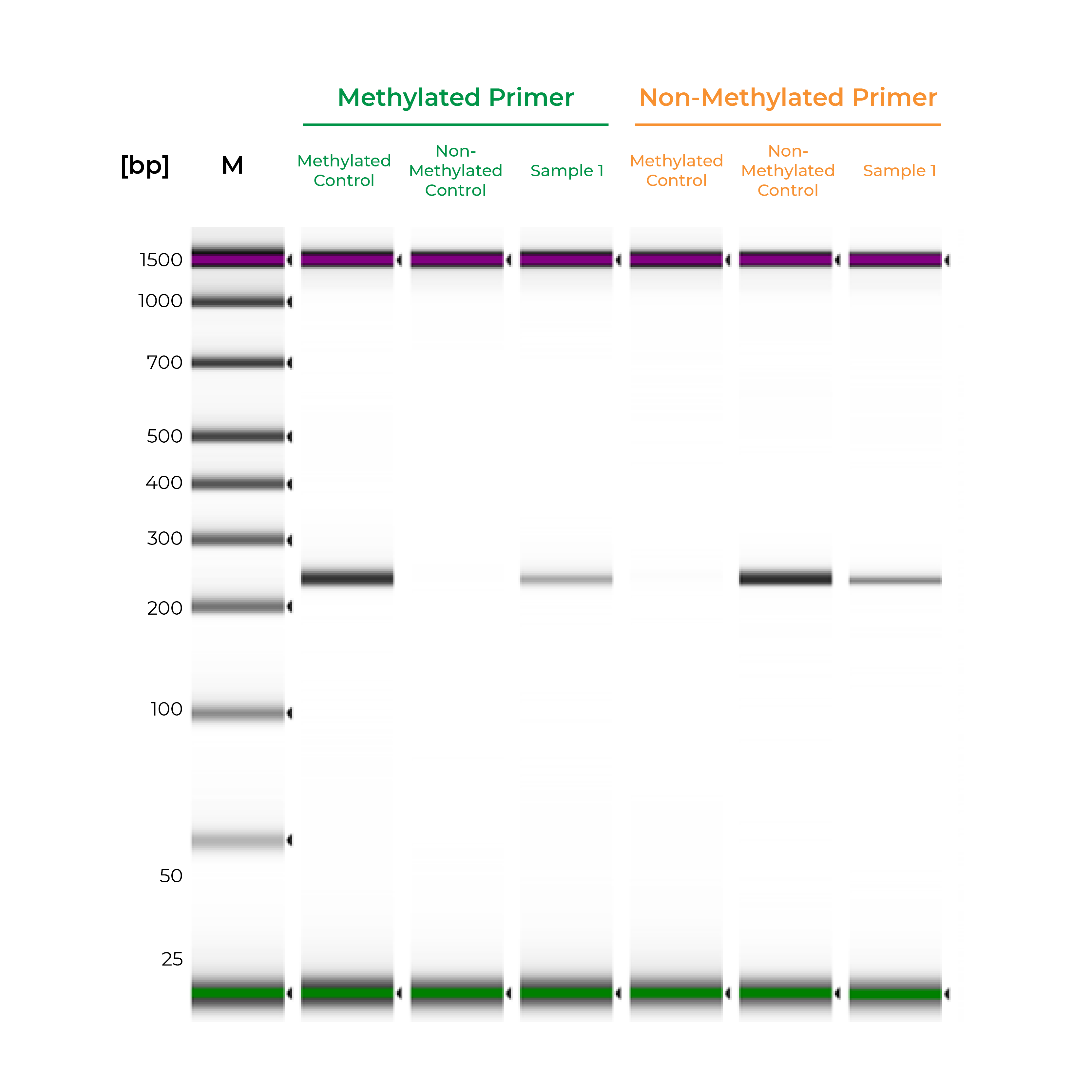 pcr testing