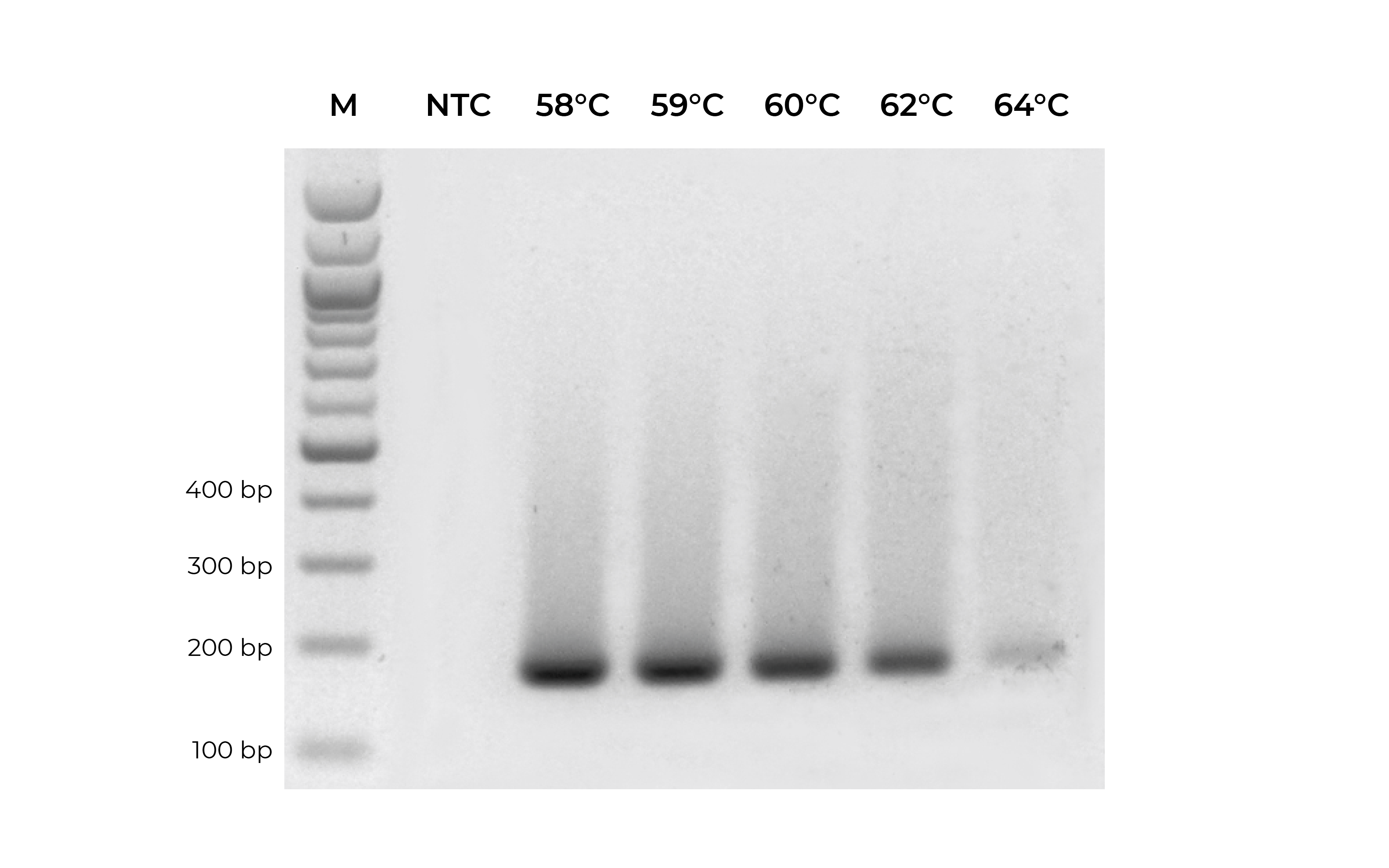 pcr testing