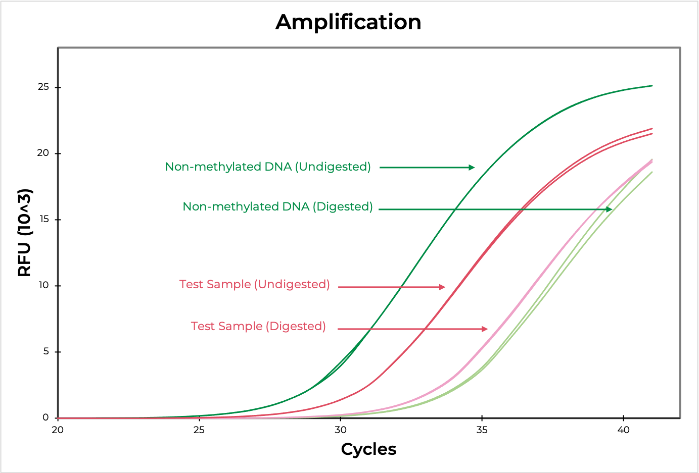 amplification graph