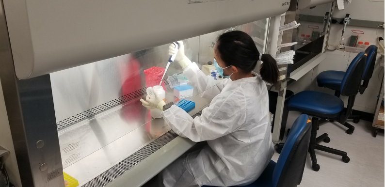 detecting RNA from the coronavirus in wastewater