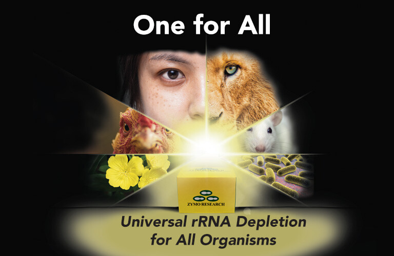 Text :One for All, Universial rRNA Depletion for All Organism