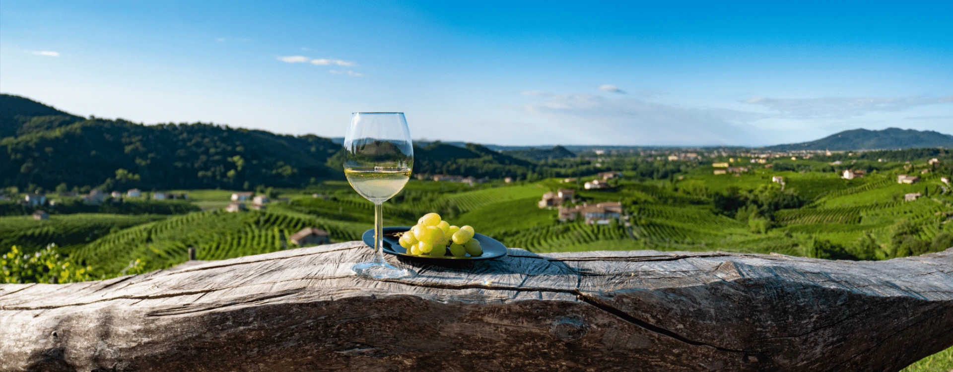 A cup of wine next to a plate of green grapes
