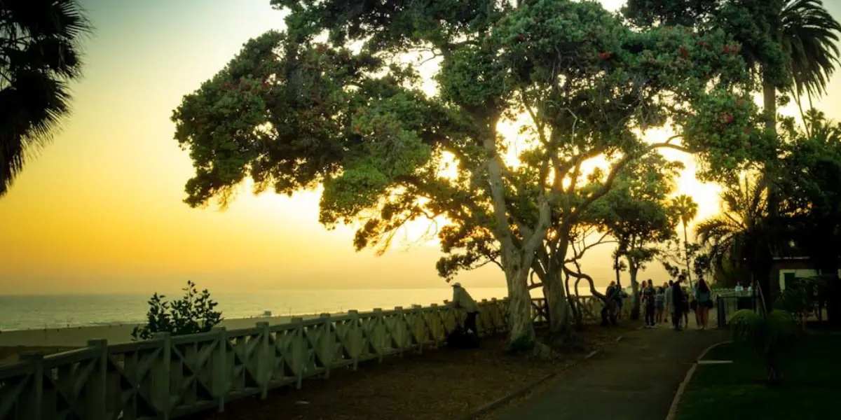 Sun setting over a park beside the ocean