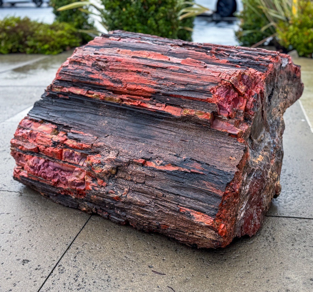 Piece of petrified wood in front of Zymo Research building