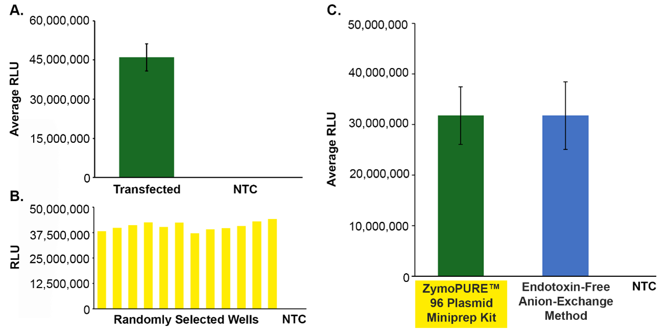 Plasmid DNA recovered using the ZymoPURE 96 plasmid miniprep on ASSIST Plus is suitable for mammalian cell transfection and comparable to traditional anion-exchange endotoxin-free plasmid prep methods.