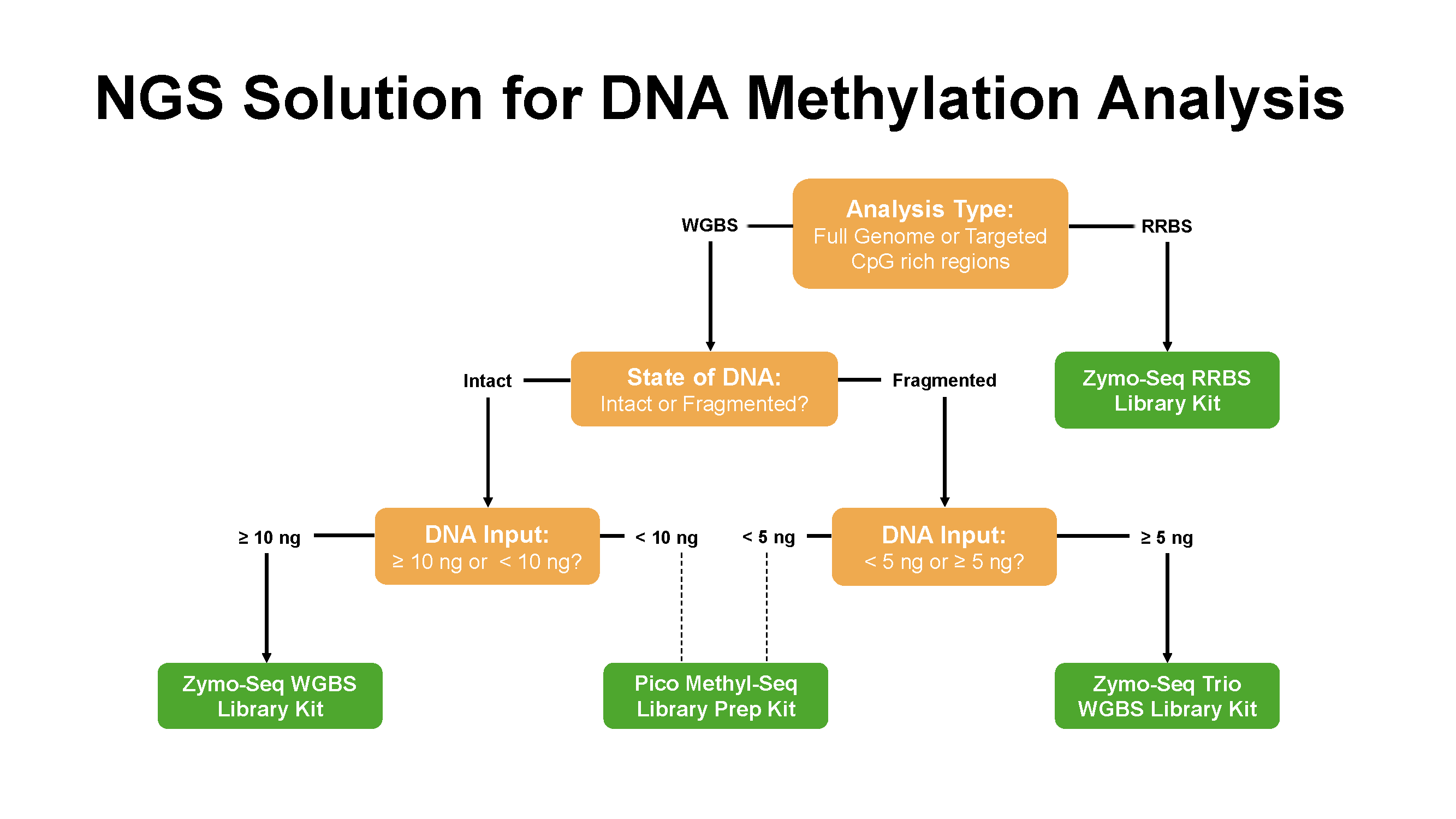 A diagram of an NGS solution for DNA methylation analysis