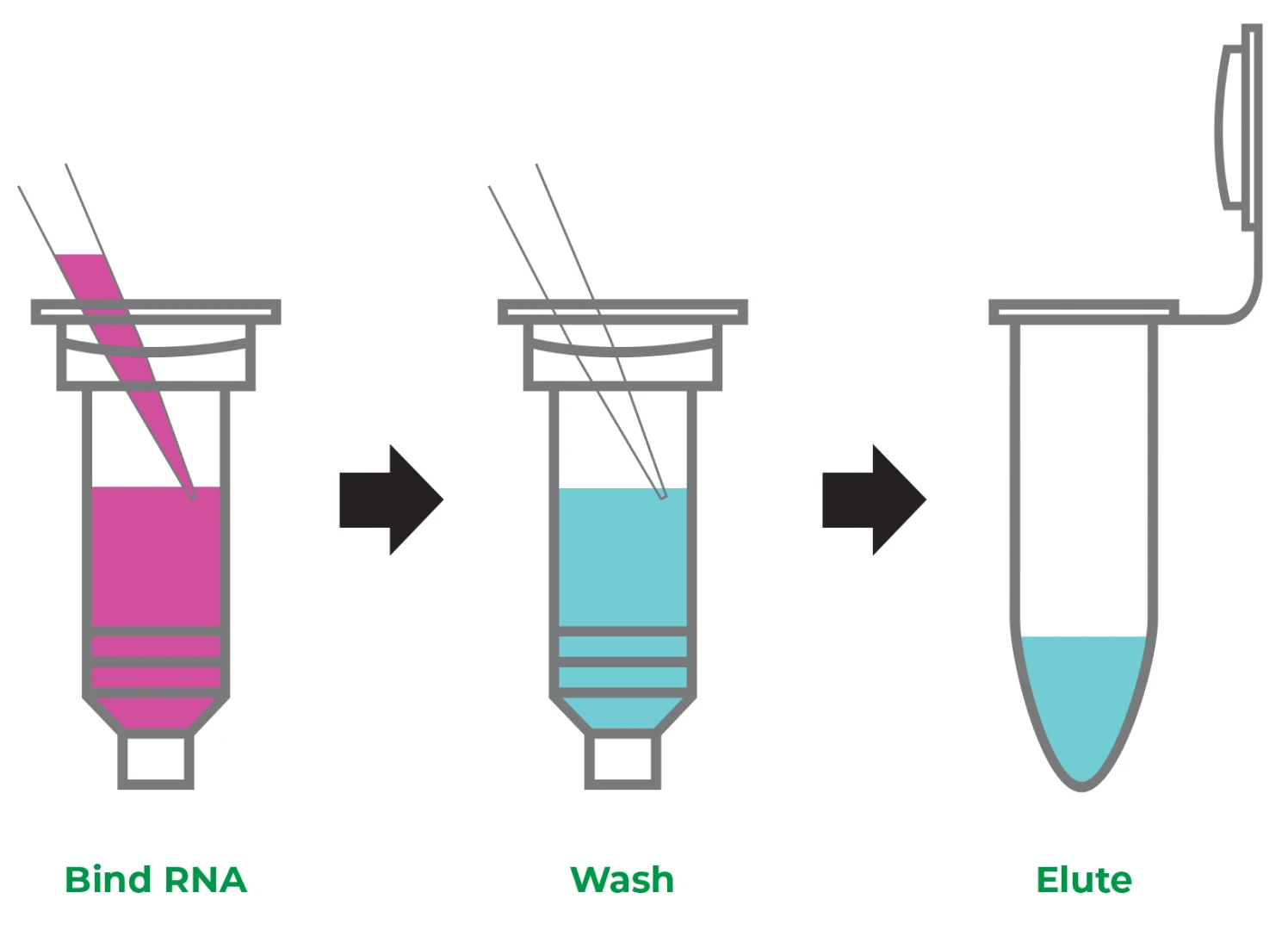 Figure 2. No more precision pipetting. With Direct-zol™, just bind, wash, and elute the RNA.