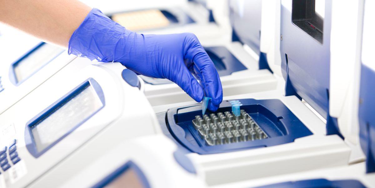 A scientist placing PCR tubes in a PCR machine to amplify a specific DNA strand for downstream analysis.  