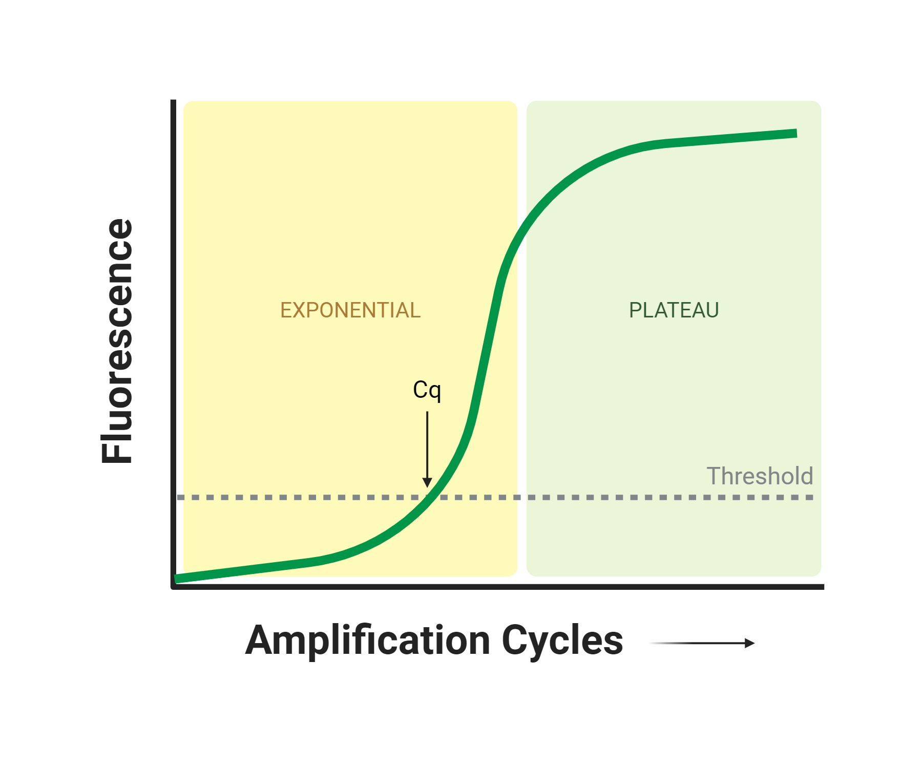 Diagram demonstrating how the starting DNA input of a qPCR reaction can be determined by looking at the Cq value, which is the number of cycles at which the fluorescence level is above a pre-defined threshold.