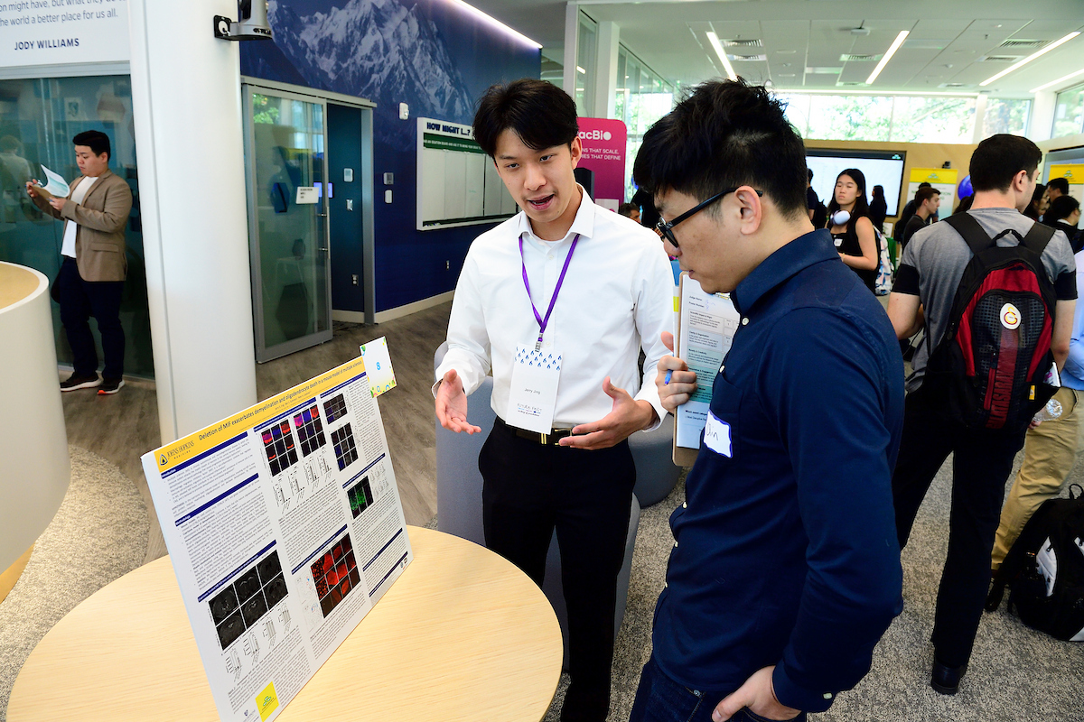 A student presents a scientific research poster to a judge during the BioFestival event, explaining data and experimental results in a discussion.