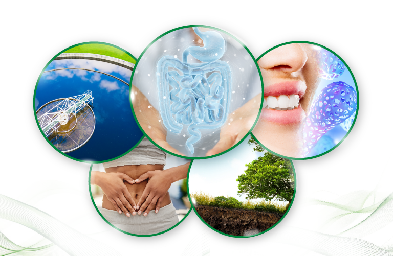 Microbiome Grant Winners 2025