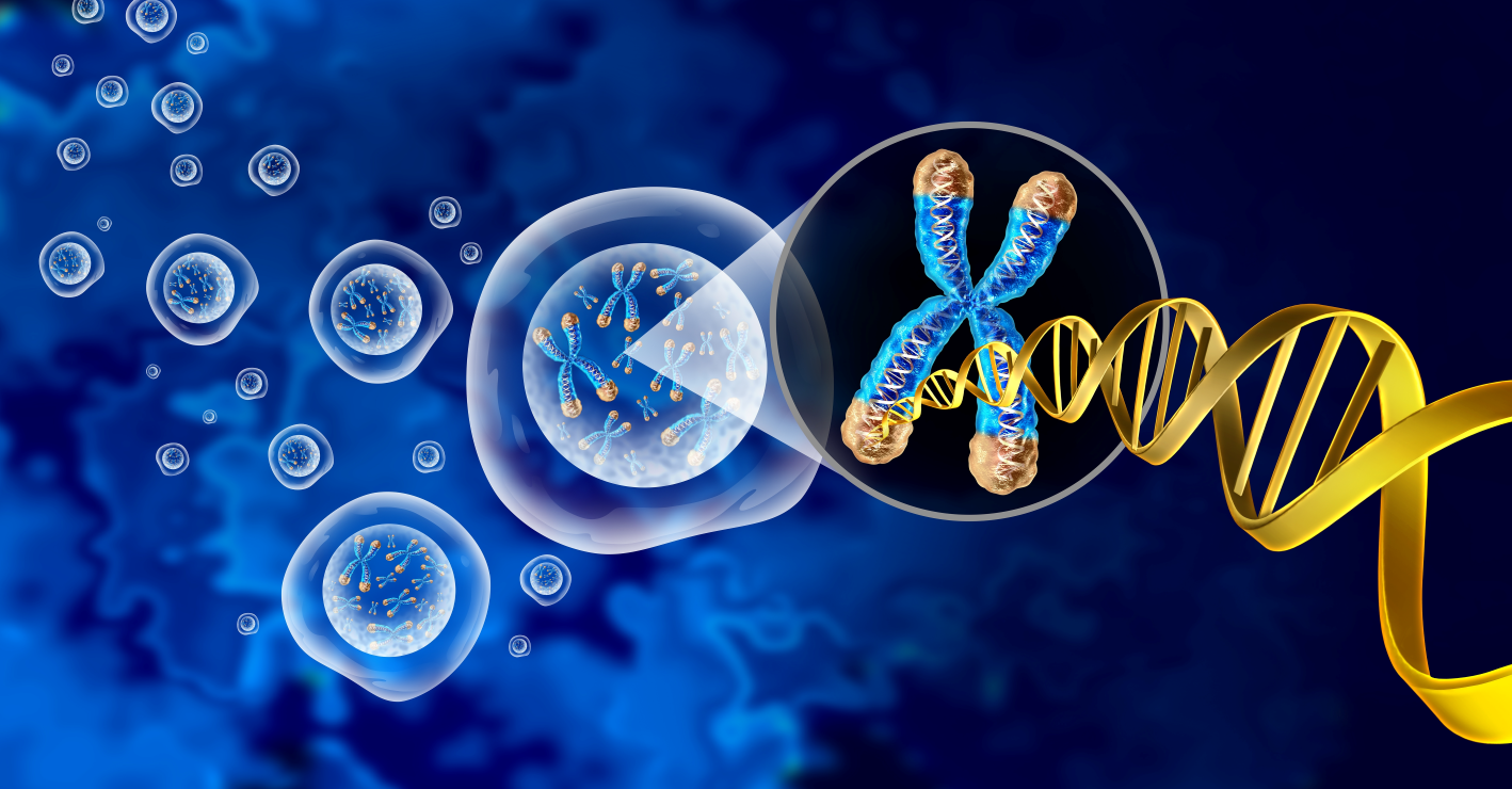 Trusted by 1,500+ researchers for fast, accurate, and publication-ready results.