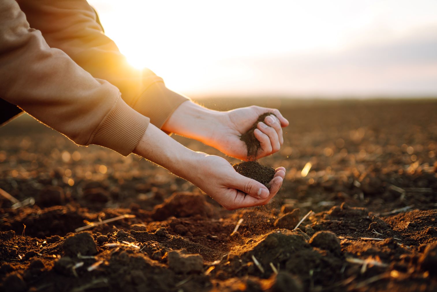 A farmer holding soil in their hands