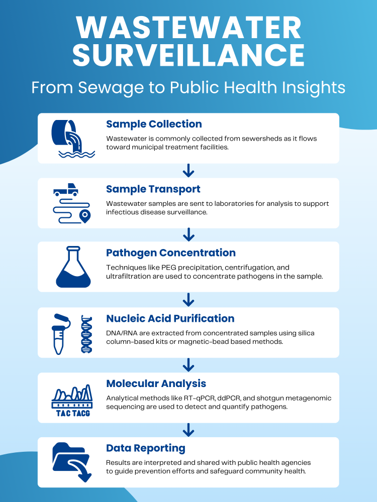 Diagram showing the wastewater surveillance workflow from sample collection to sample transport to pathogen concentration to nucleic acid purification to molecular analysis, and finally data reporting