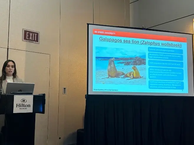 Woman giving a presentation on Galapagos sea lions, with a large screen displaying images and information about the species