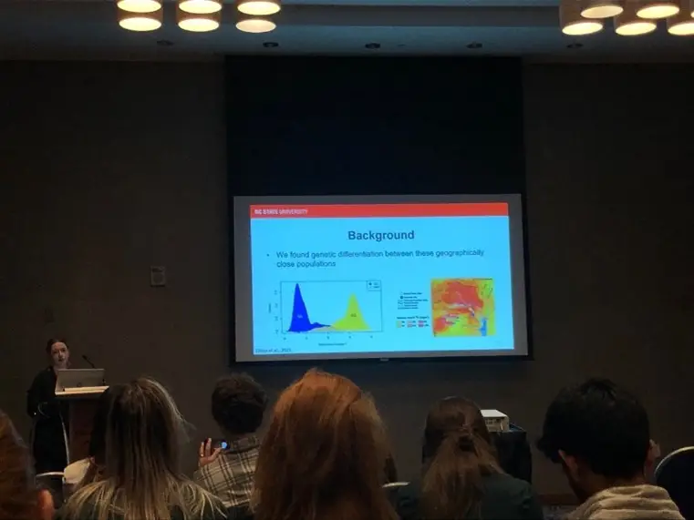 Conference presentation showing a speaker presenting data on genetic differentiation between geographically close populations, displayed on a large screen